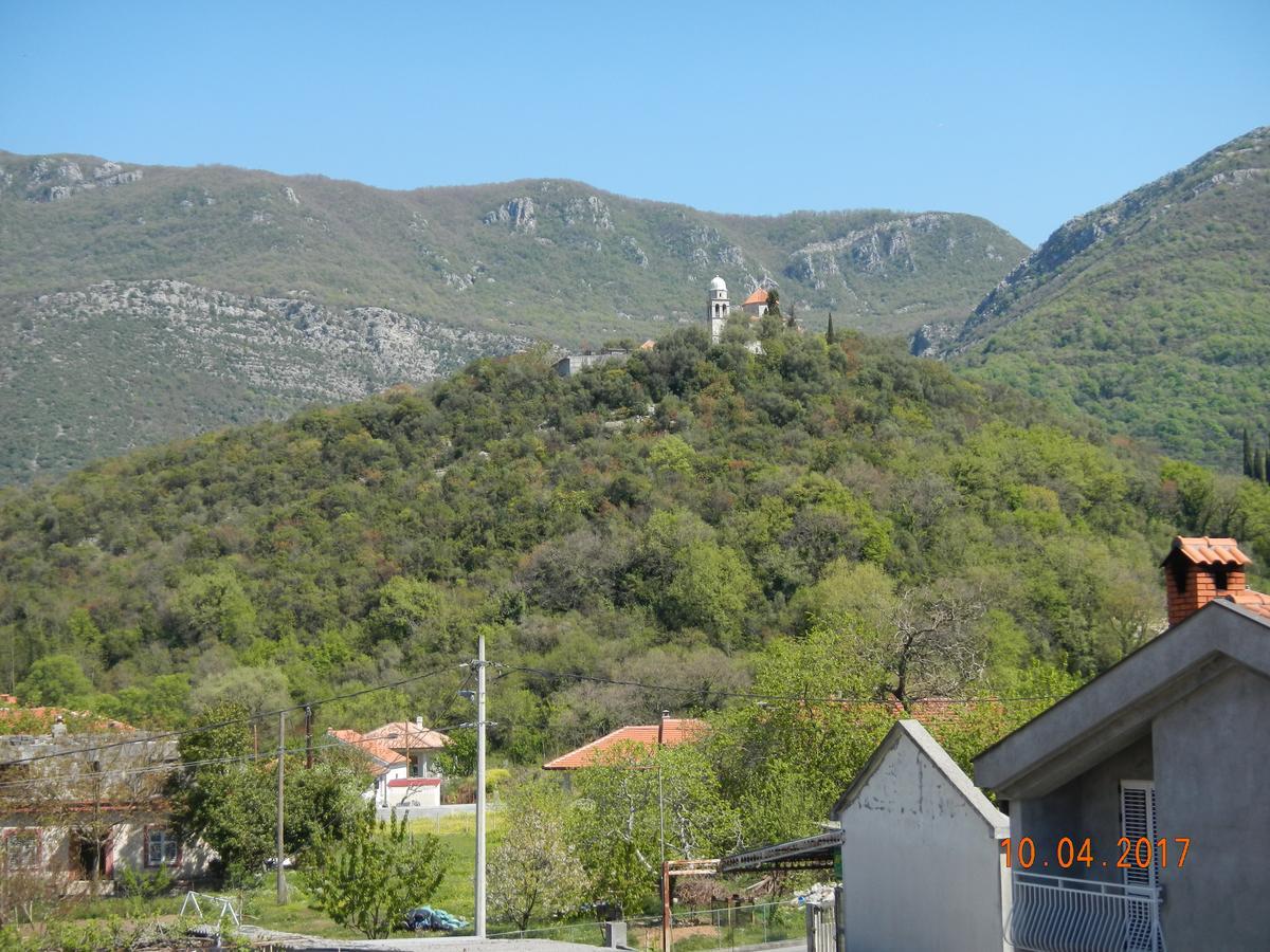 Guest House Villa Zivanovic Χέρτσεγκ Νόβι Εξωτερικό φωτογραφία